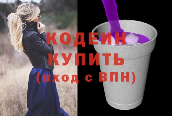 индика Касимов