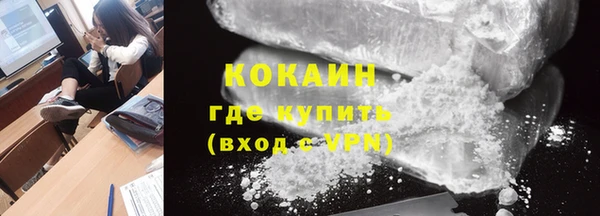 индика Касимов