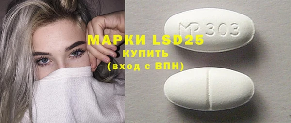 индика Касимов
