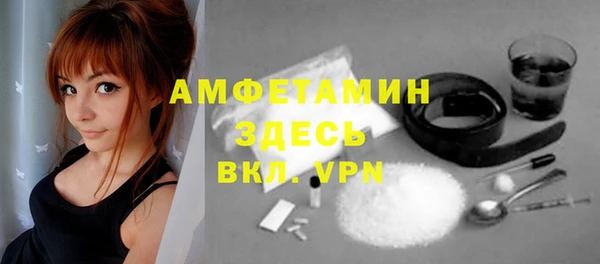 индика Касимов