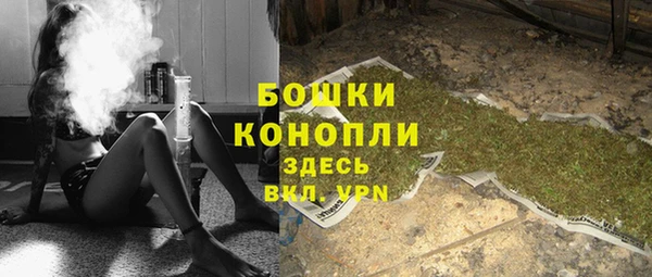 индика Касимов