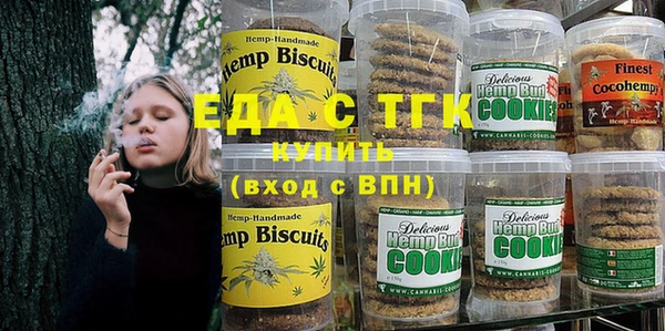 индика Касимов