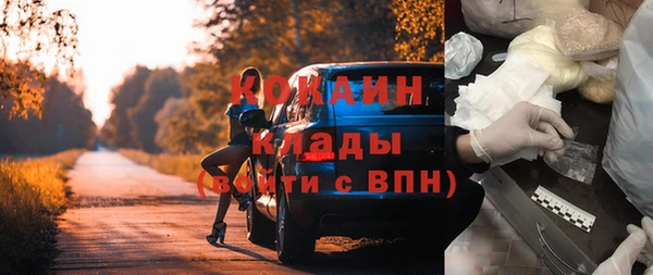 индика Касимов