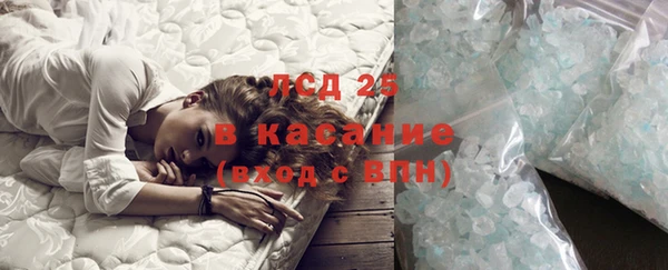 индика Касимов