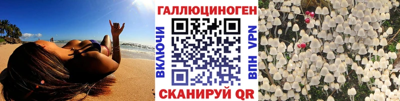 Псилоцибиновые грибы Psilocybe  Купить где  Светлый 